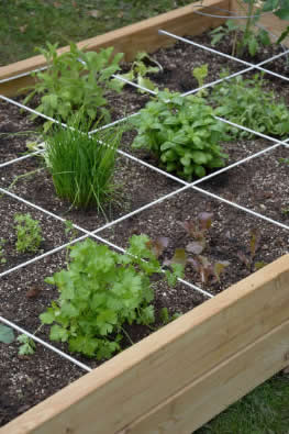 starten met tuinieren in een vierkante meter tuin